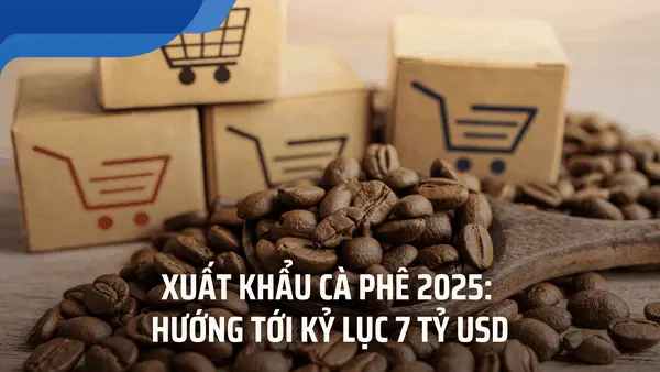 Xuất khẩu cà phê Việt Nam