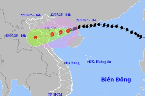 zibb14 bao so 3 wipha 16 1753093361528602344441