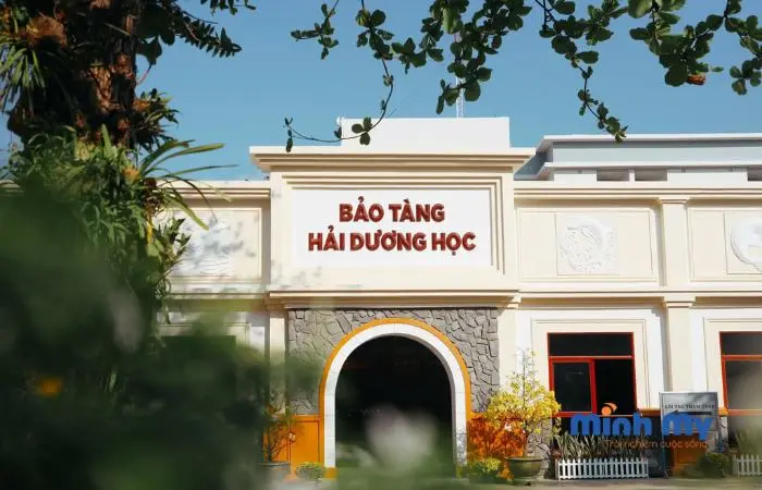 0in4go_bao-tang-hai-duong-hoc-nha-trang-2.webp