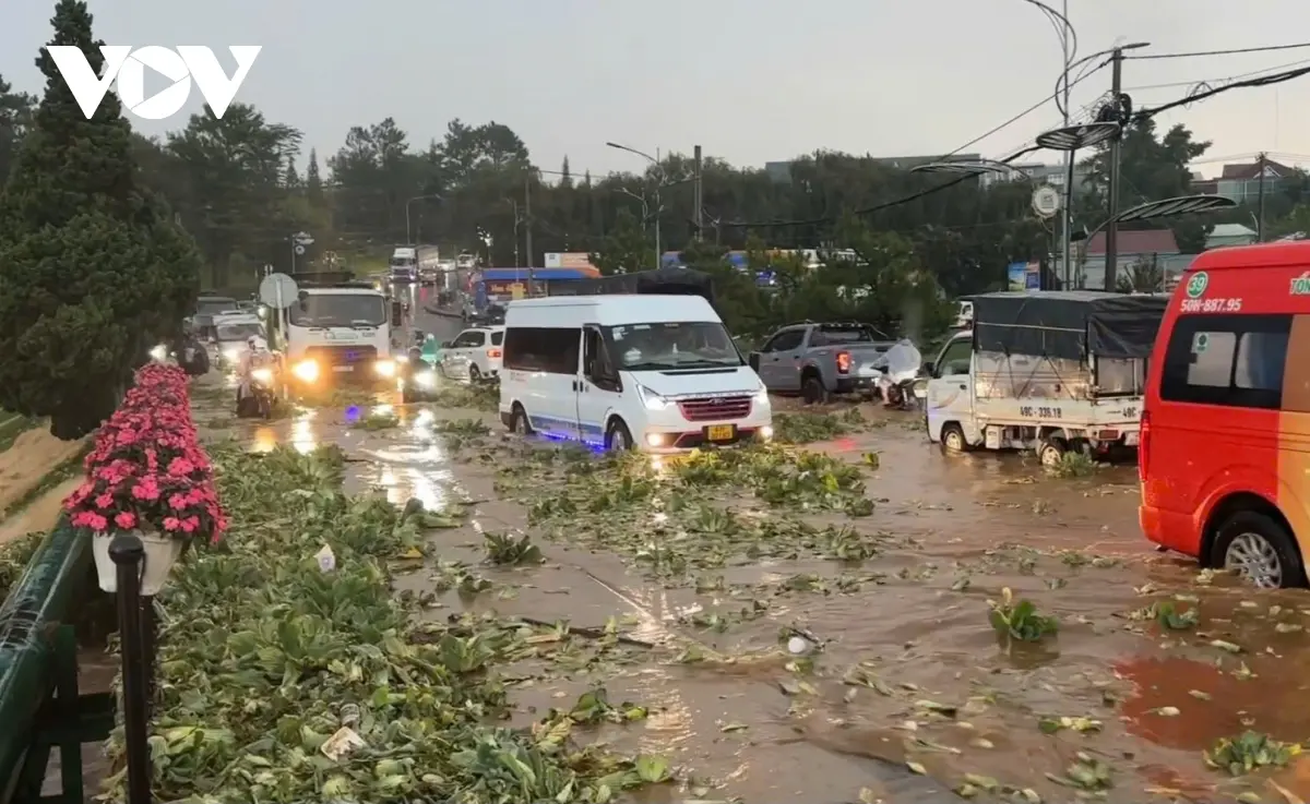 1biwks mua lon gay ngap ung cuc bo nhieu khu vuc tai da lat