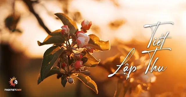 1wzz1o_data.webp