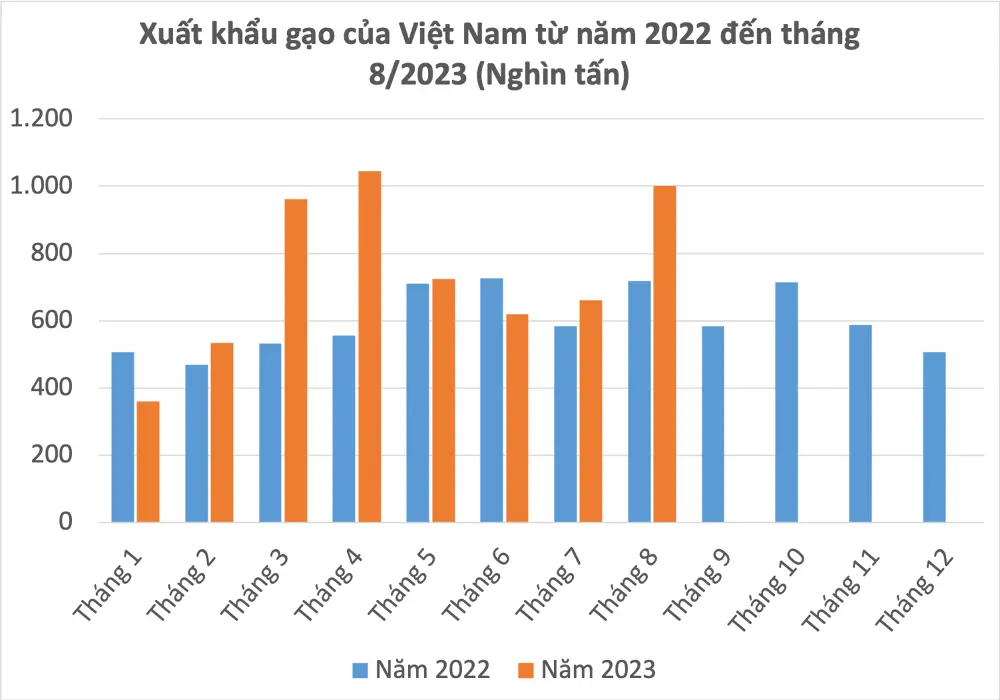 524wbp vn 2023090515303372