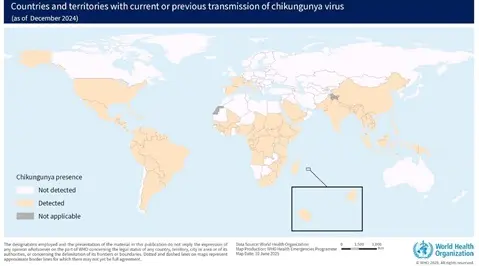 579rkj chikungunya epi map.tmb 479v