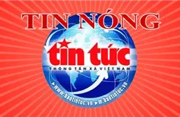 61l3fc avata tinnong