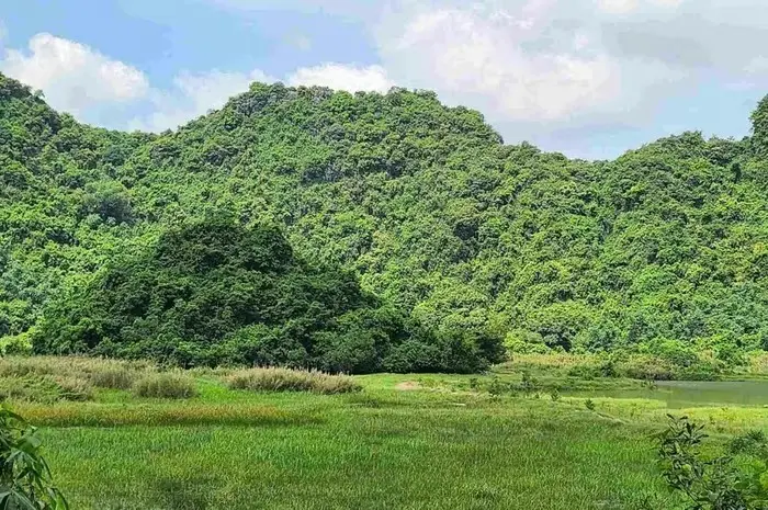 74zzge ninh binh vao rung bat oc da nguoi dan bat ngo phat hien bo xuong nguoi bi de duoi tang da 2 21170773