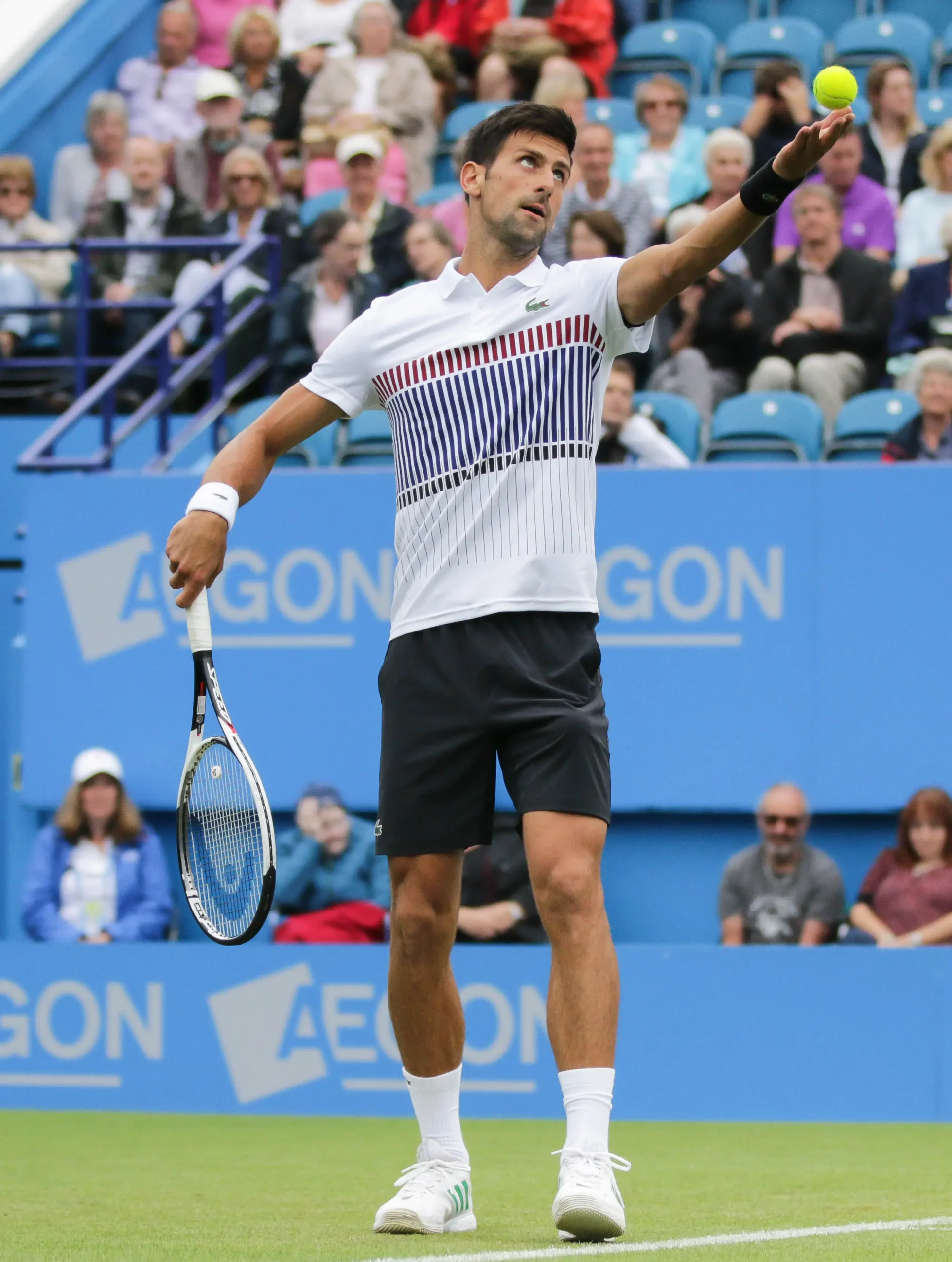 afhck1 Novak Djokovic Eastbourne tennis 2017 167 2834783269004 29 scaled