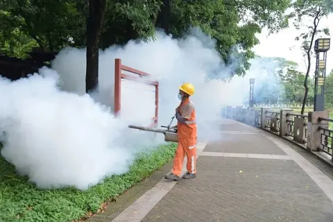 bfk4rr chikungunya 17544699085282119164658