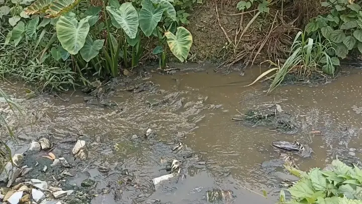 bie1c5 thumbvideo 2670