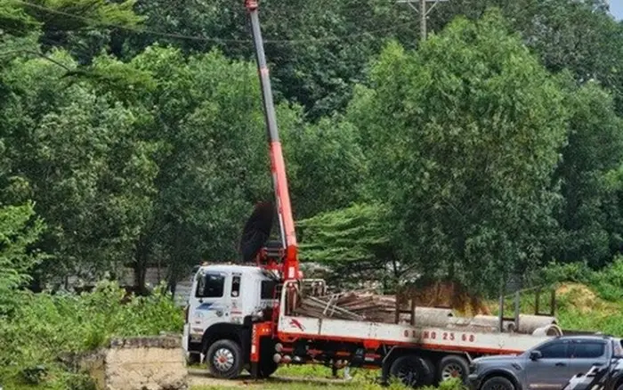 blbci6 14 1754925690 415 width740height495 schema article
