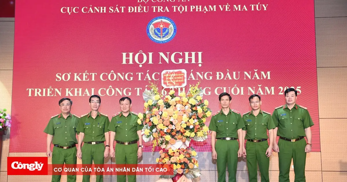 c1fy9e img 1254
