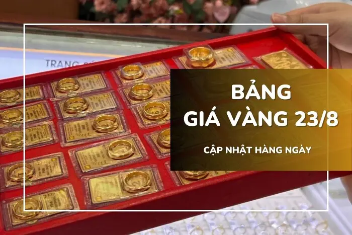 cjbhsp so sanh vnb 20250823142805565