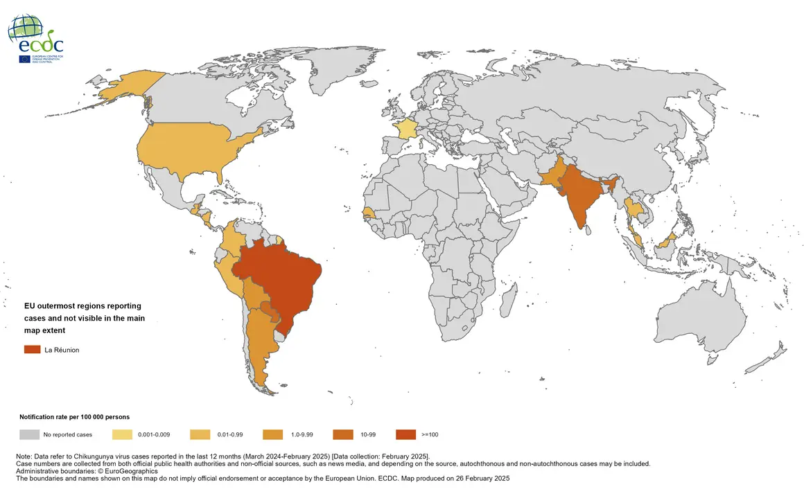 dkzhnj Chikungunya 12 months february 2025