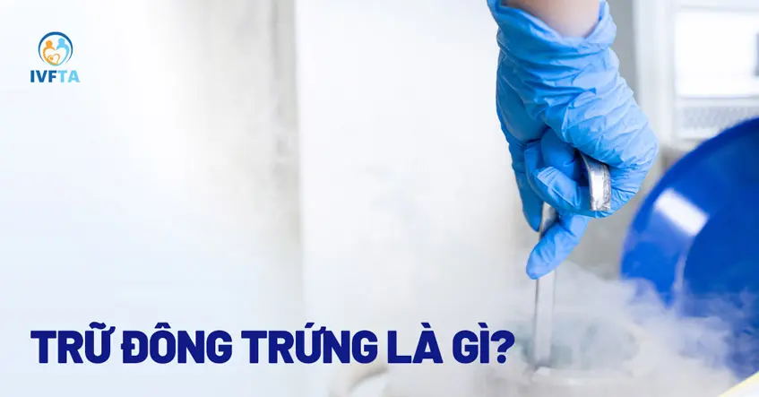 hbarbb tru dong trung