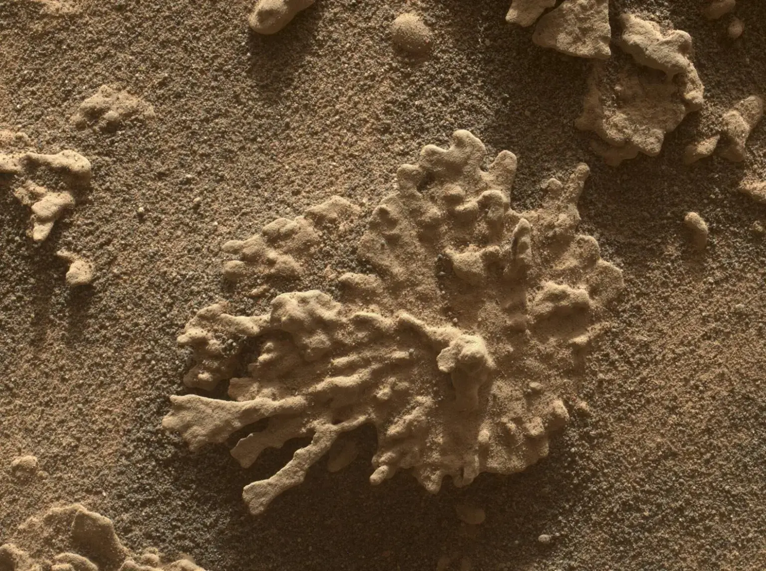 jcv5tl 8805419 www jpl nasa gov images 109336326