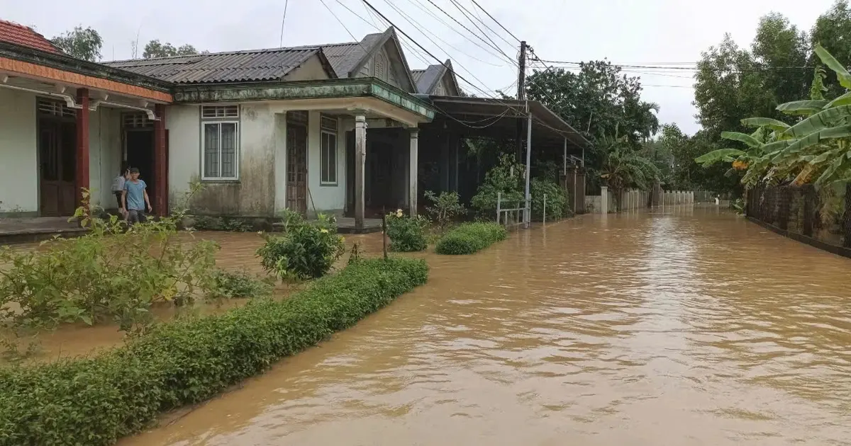 jnfm02 lu crop 1730784524735