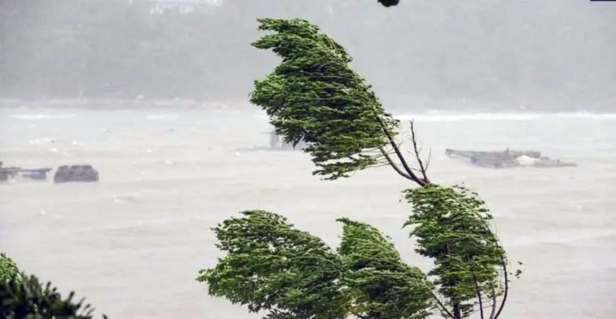 juhmtm_thanh-hoa1.webp