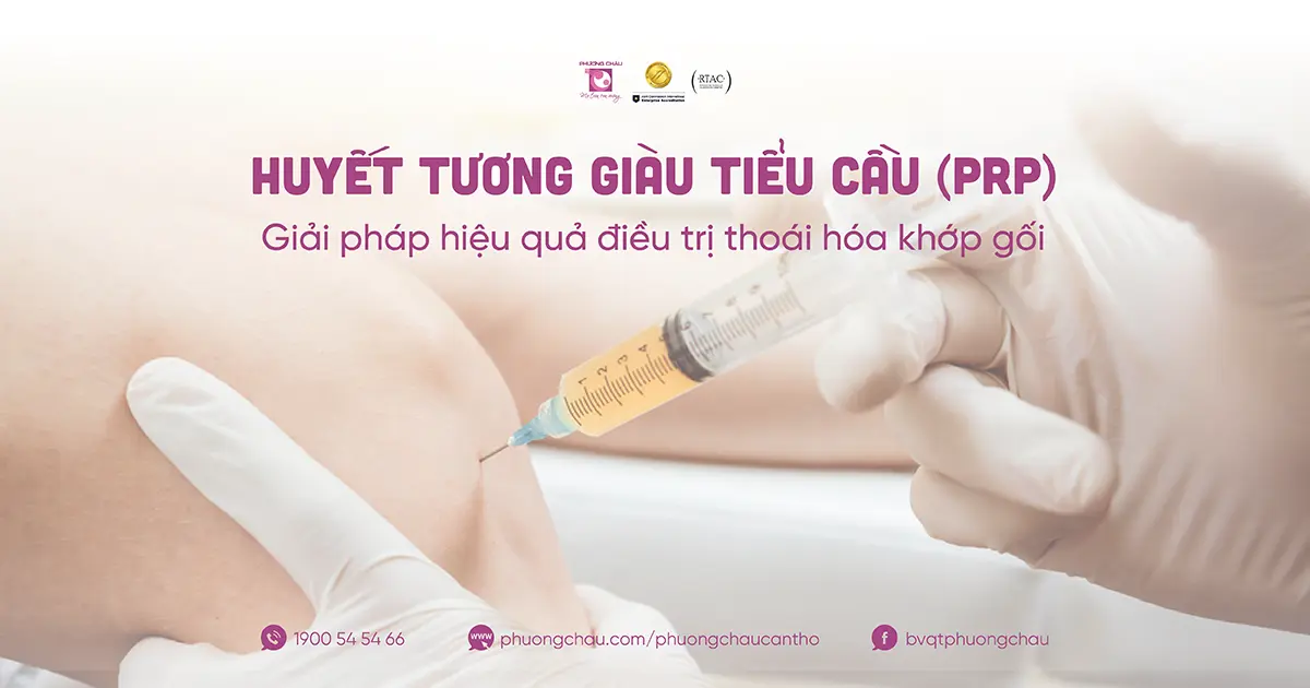 k6nztw huyet tuong giau tieu cau