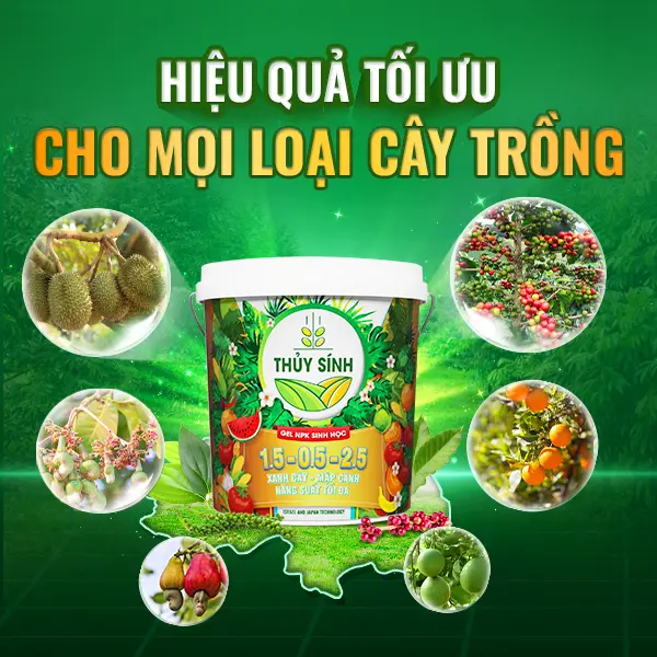 lwr5dg hieu diem phan xo tuoi goc 15 5 25
