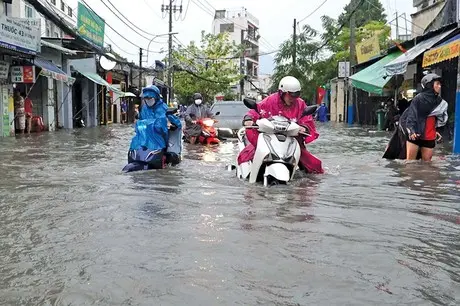 mdi3y4 rot hang ngan ty dong tphcm van cu mua la ngap bai 1 he thong cong tram nam tuoi phai ganh gap 5 lan cong suat1747730534 3473