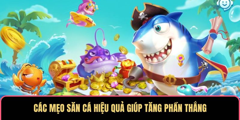 Các mẹo săn cá hiệu quả giúp tăng phần thắng