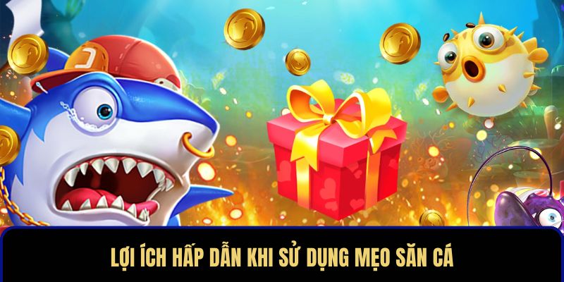 Lợi ích hấp dẫn khi sử dụng mẹo săn cá