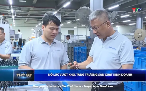 n1fgyz tang truong 17564305304891262600080