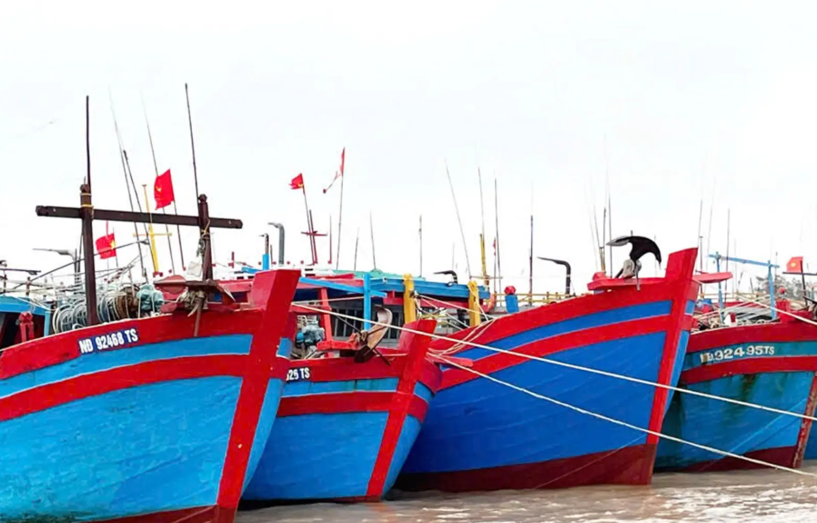 phl6ig 113 1756020520 ninh binh cam tau thuyen ra khoi nham phong chong bao so 5
