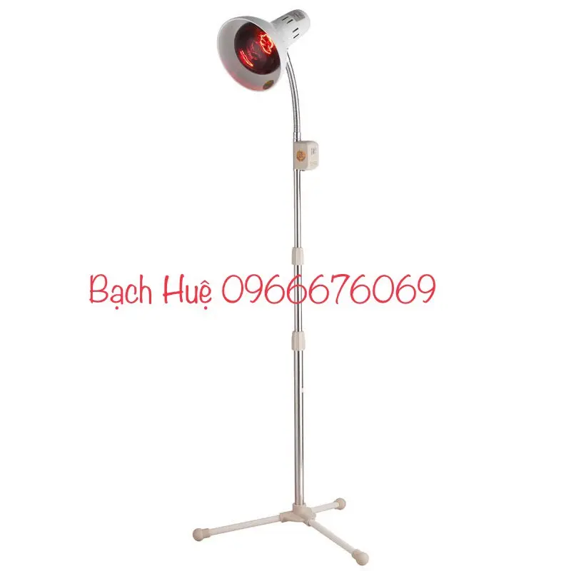 pvi1g5 gu hong ngoai