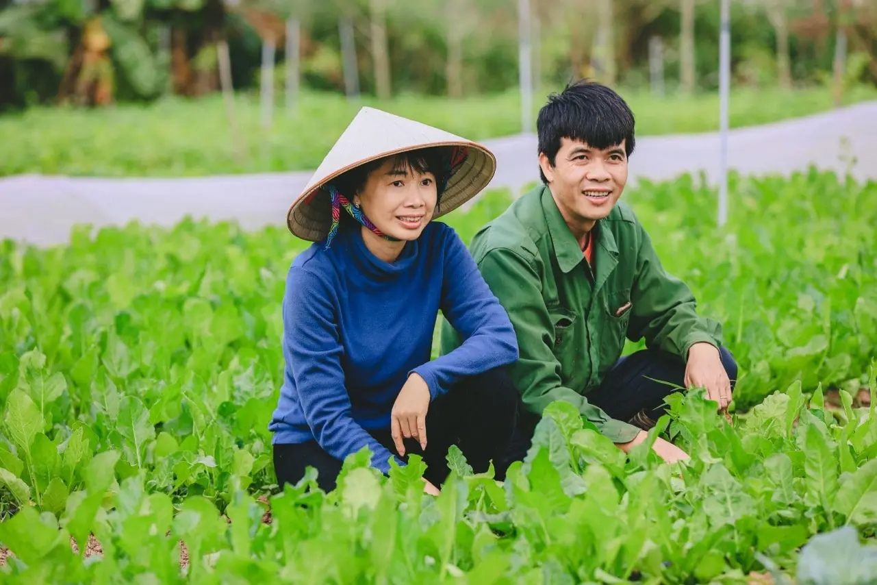 s5h3nk vo chong tien synvcc 1 1718353740370