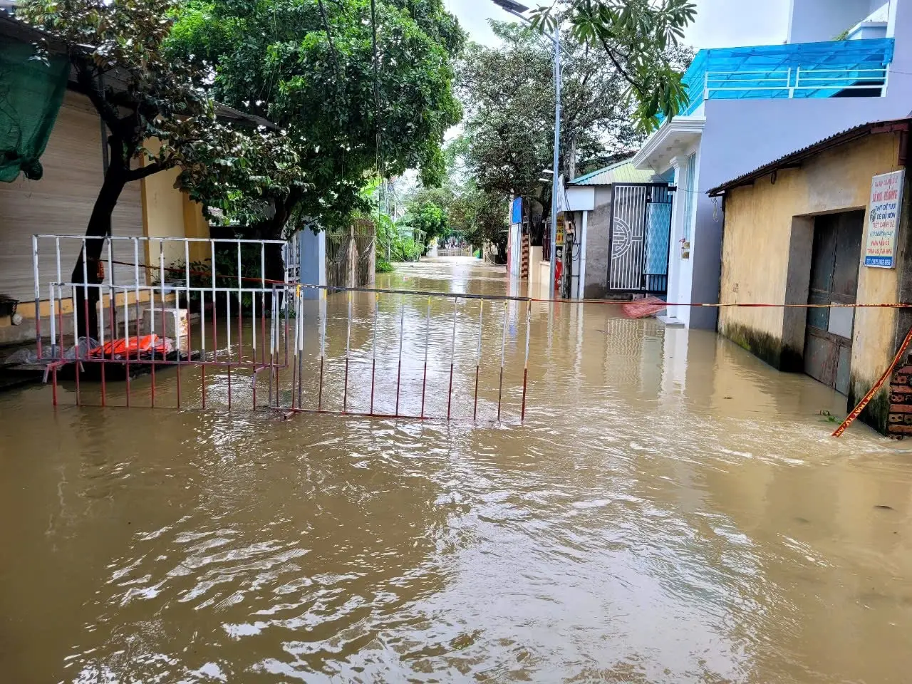 t5qqm9 tp thanh hoa4