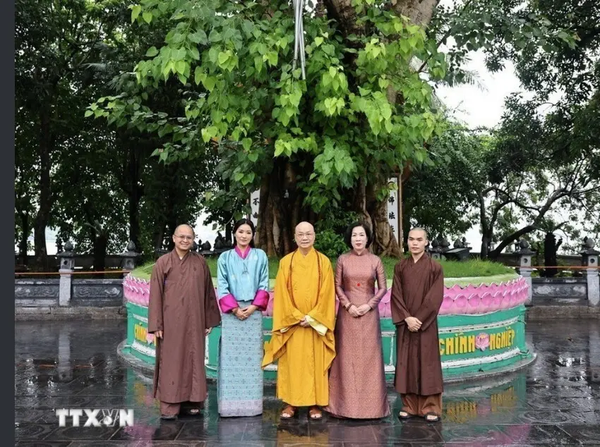 th2zfx phu nhan 7