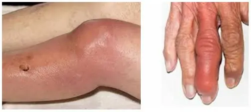 tpjif9 26102022 viemkhop 1