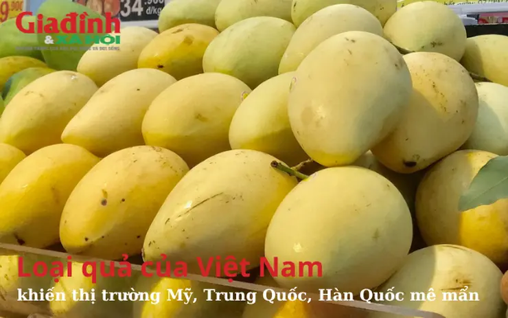 tydo5i loai qua cua viet nam khien thi truong my trung quoc han quoc me man xuat khau hang tram trieu usd 16989812321302029770263