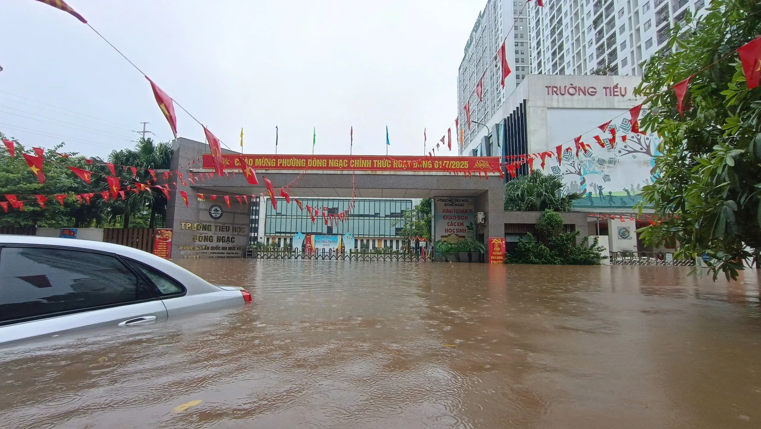 vydfoz ha noi mua ngap keo dai 17561980430441374149505