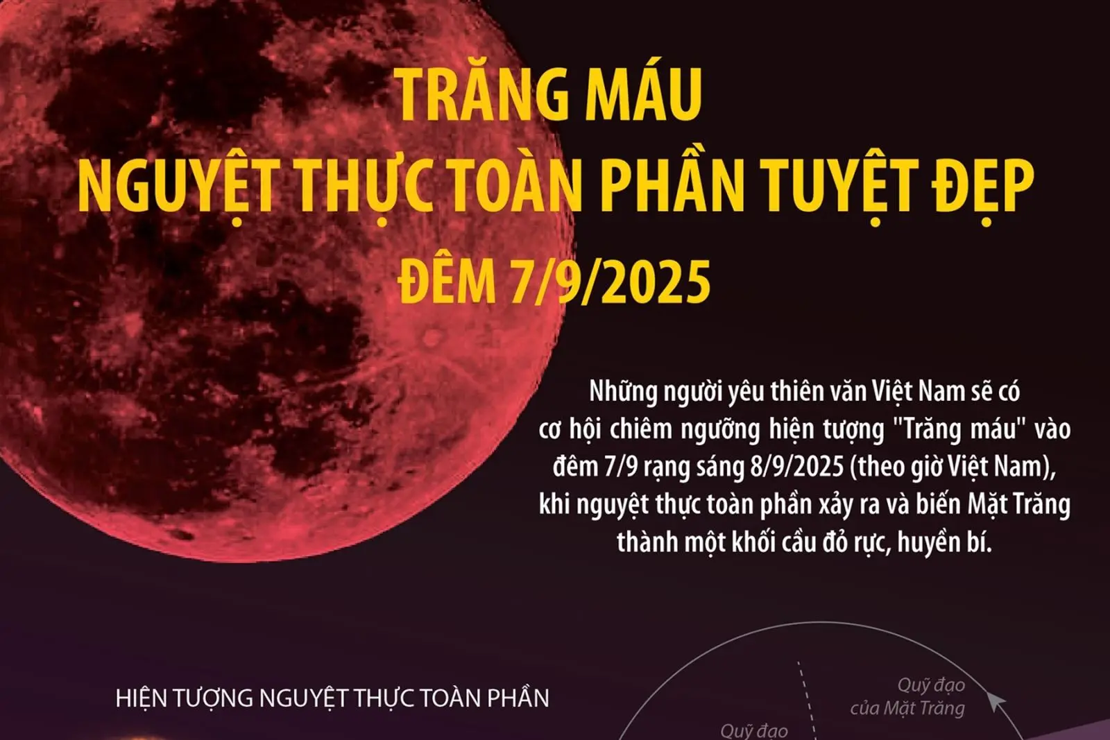 3yil7v trang mau 07092025 01a