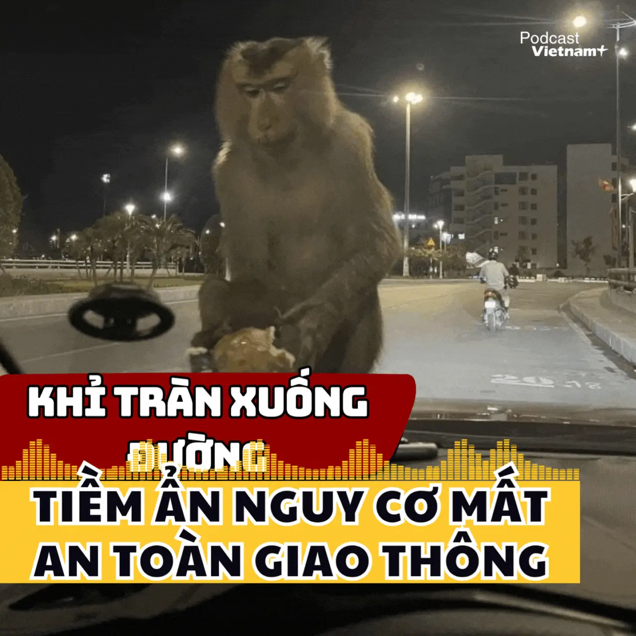 7nzq51 bia podcast ban th
