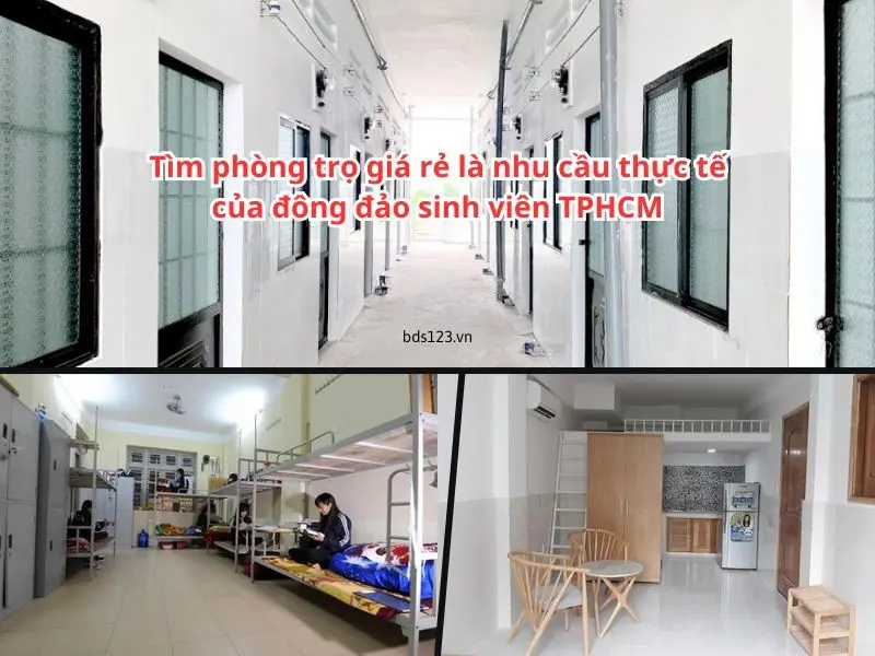 8bg3v2 tim phong tro gia re la nhu cau thuc te cua dong dao sinh vien tphcm 1698633304