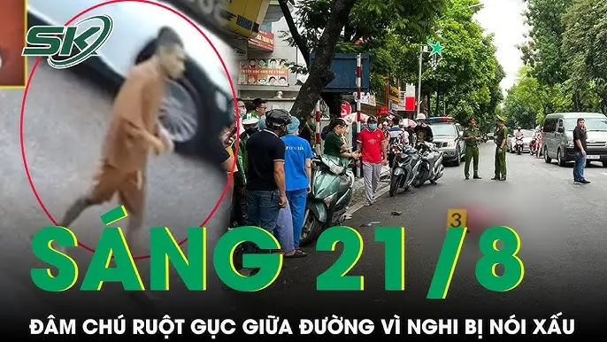 95vo6l hq720