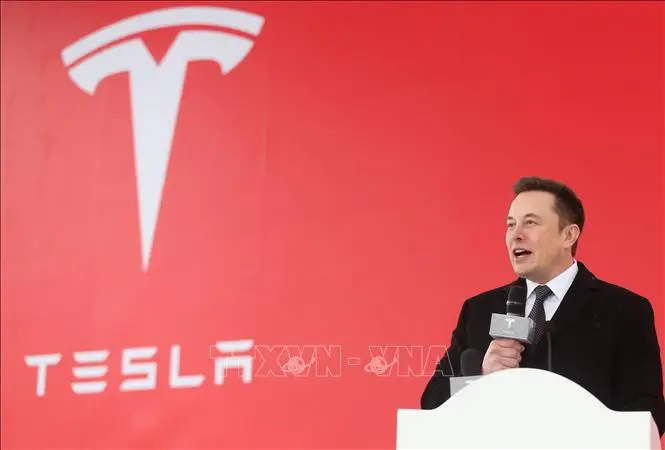 fj3b6g tesla 4825 11