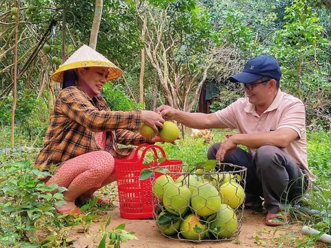 jr4srt_31-9-thanh-tra-hue-duoc-mua-ky-luc-lan-dau-co-mat-tai-sieu-thi-o-tp-hcm-1-1756863885720338758151.webp