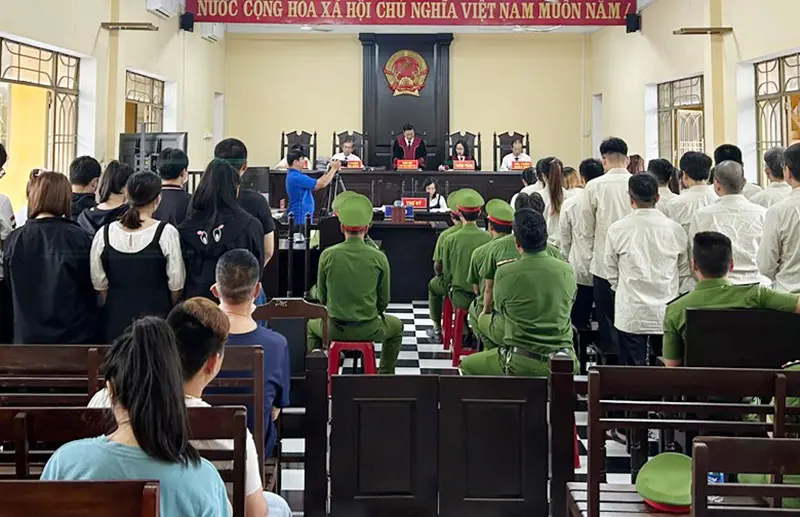 jsyvob image