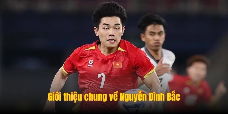 nguyen dinh bac 1