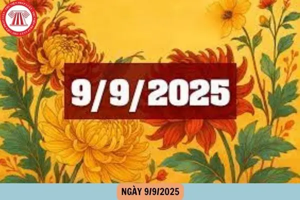 npwtt8 ngay992025