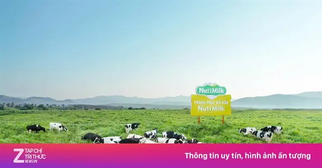 o64bsm vietstock s nutifood rot them 6000 ty vao trang trang trai bo sua o gia lai 20250830135653