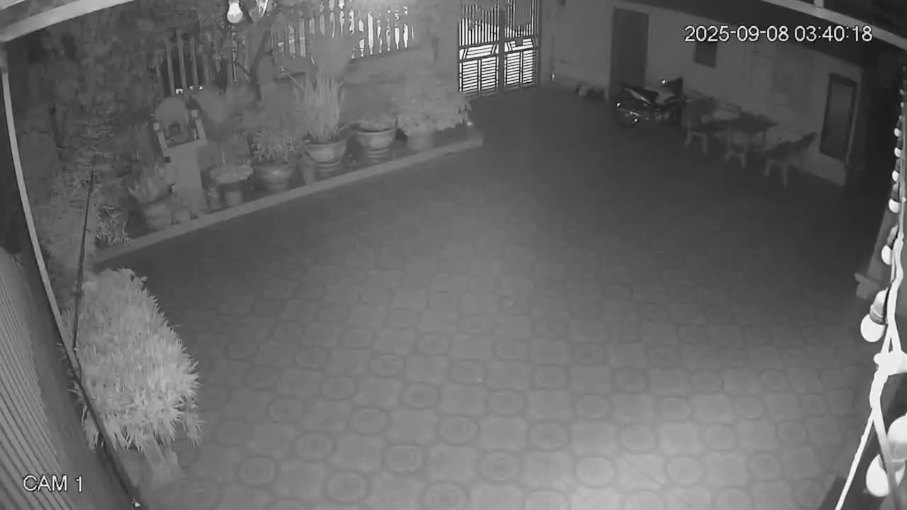 qc4pt4 1757315043 tuvong