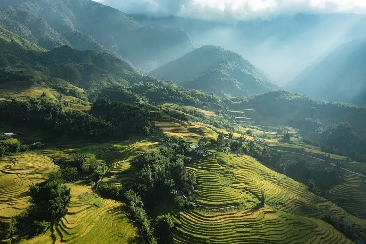 rjpjk3 dautu.kinhtechungkhoan.vn stores news dataimages 2024 112024 18 00 sa pa 120241118000039