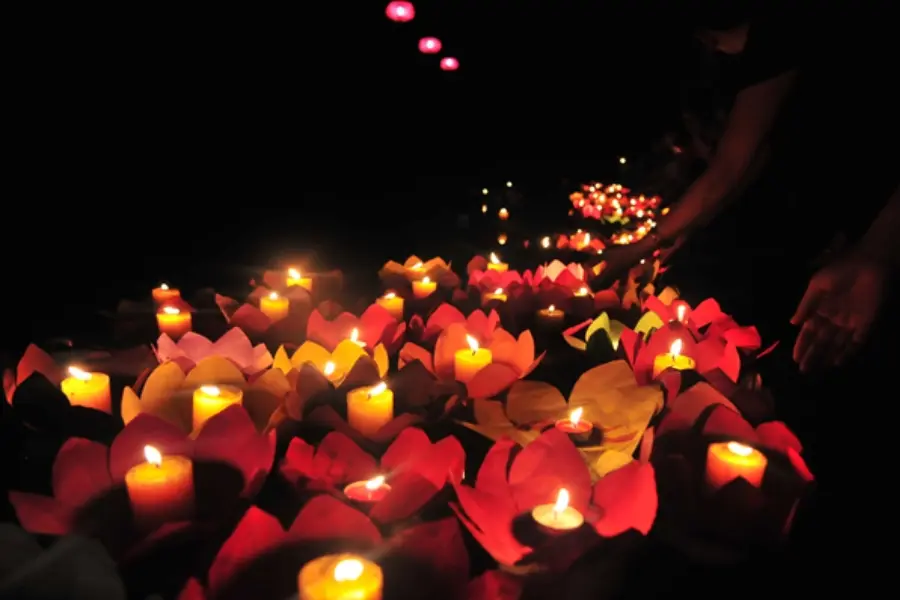t7ds31 anh tha den hoa dang ngay vu lan