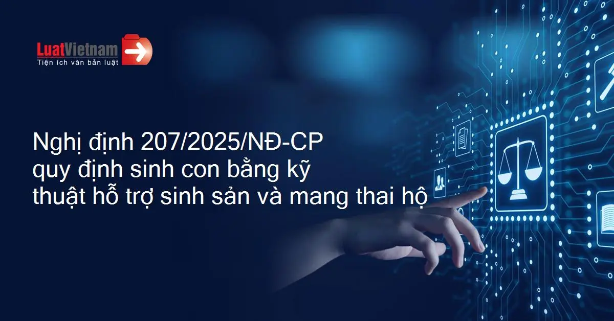 x5w1ow nghi dinh 207 2025 ndcp 405740