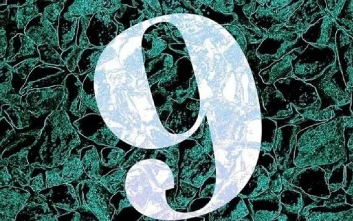 yqzv4y avatar1757389401672 17573894022671913414458 0 0 482 771 crop 1757389476968242338902