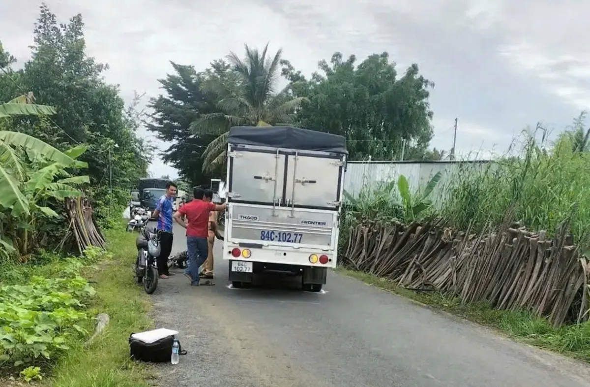 zgf92n vinh long 2